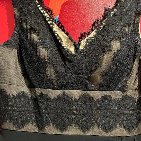 JS Collections Lace Dress - Picture 2 of 4